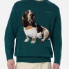 Maglione da uomo verde Airone con stampa basset hound
